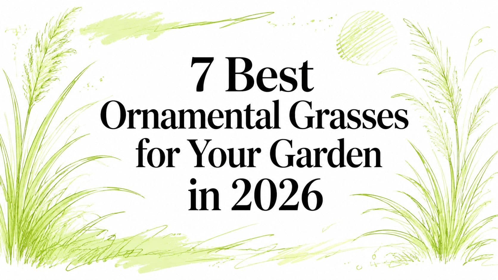 7 Best Ornamental Grasses for Your Garden in 2026