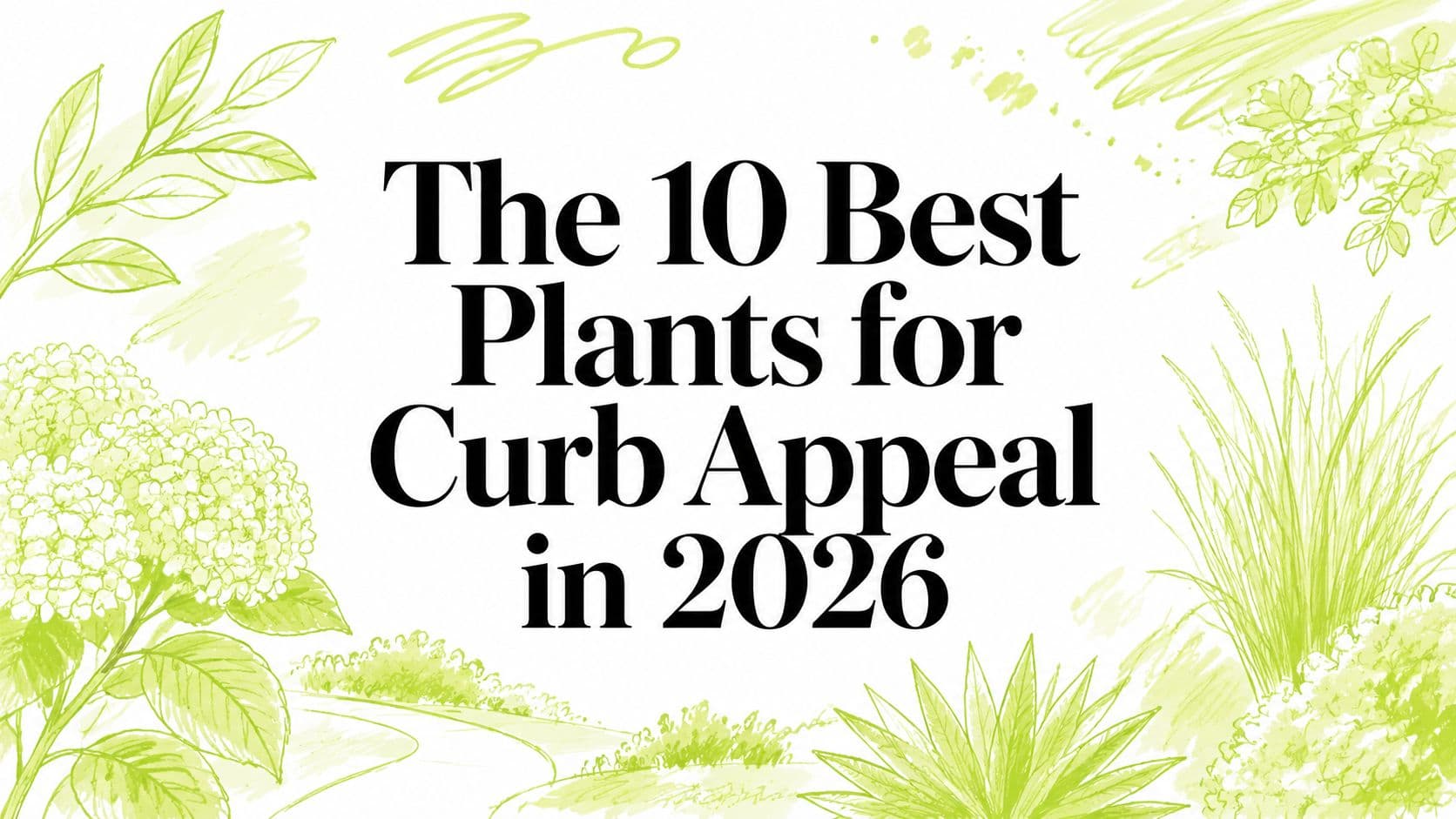 The 10 Best Plants for Curb Appeal in 2026