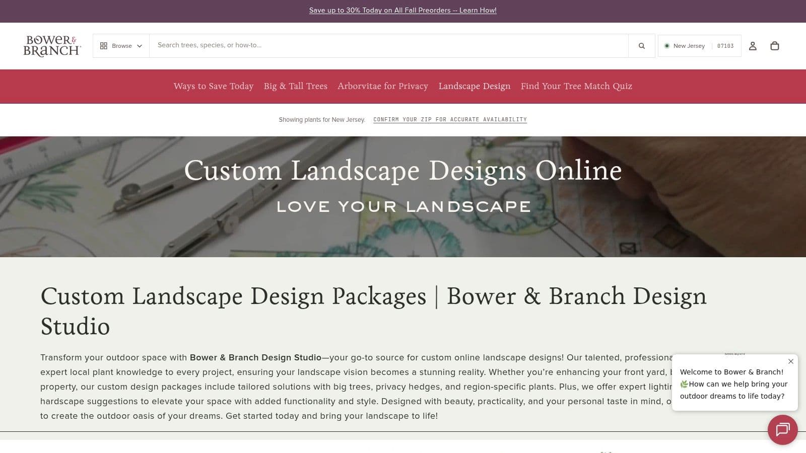 Tilly Design – Online Landscape Design with Sample Plans and Before/Afters