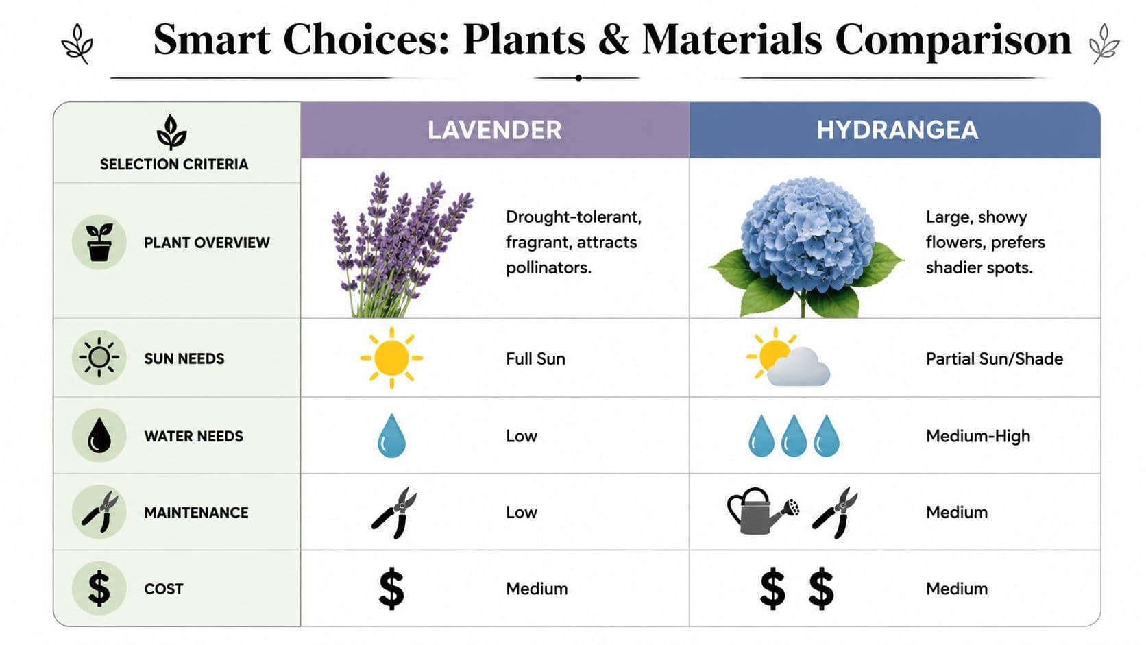 A comparison chart outlining care requirements and features for lavender and hydrangea garden plants.