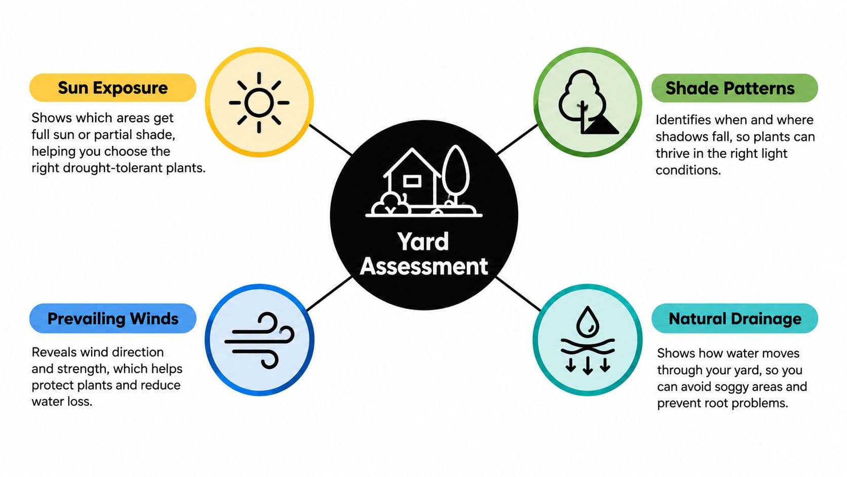 A diagram illustrating four key environmental factors for yard assessment including sun, shade, wind, and drainage.