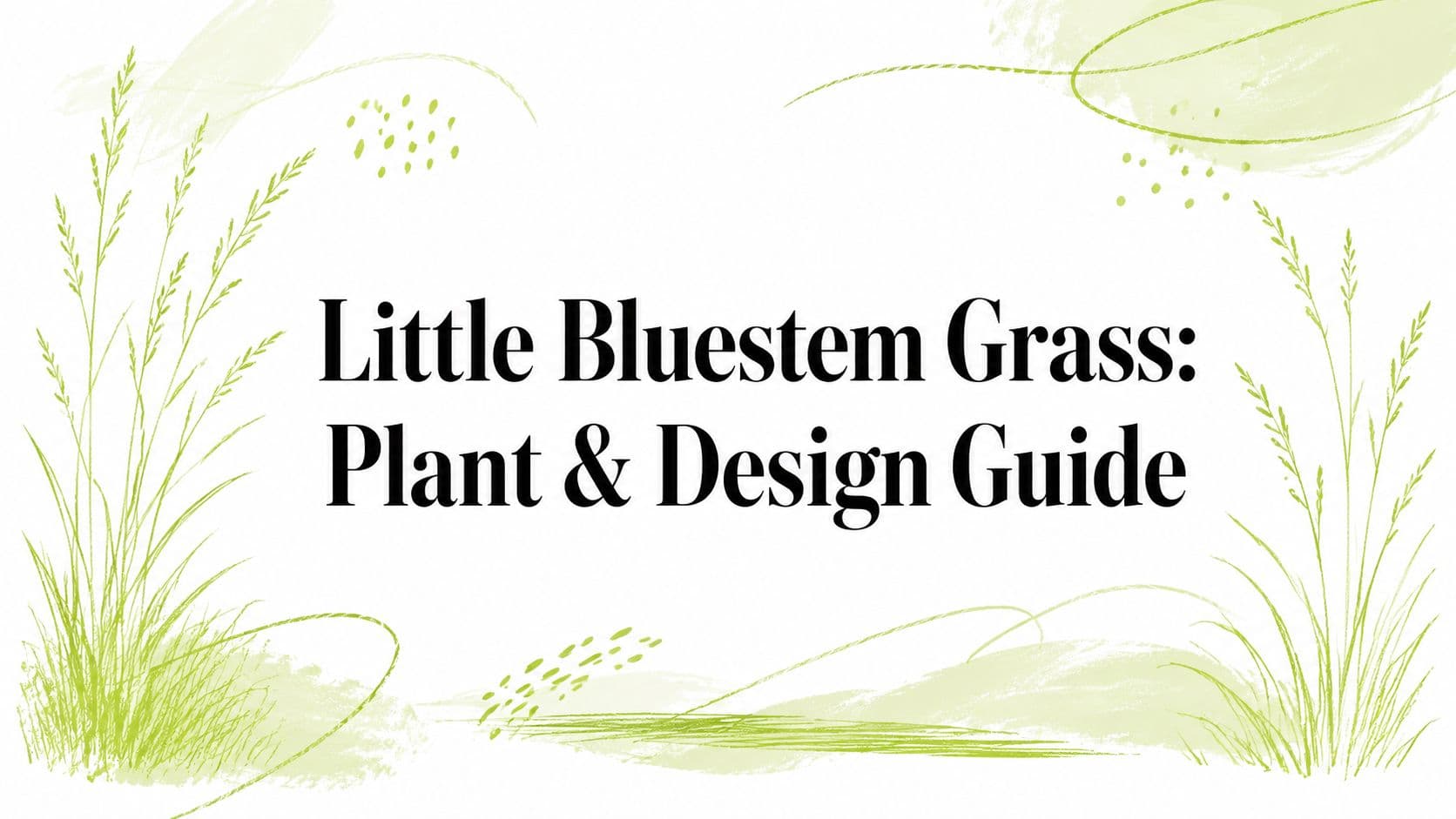 Little Bluestem Grass: Plant & Design Guide