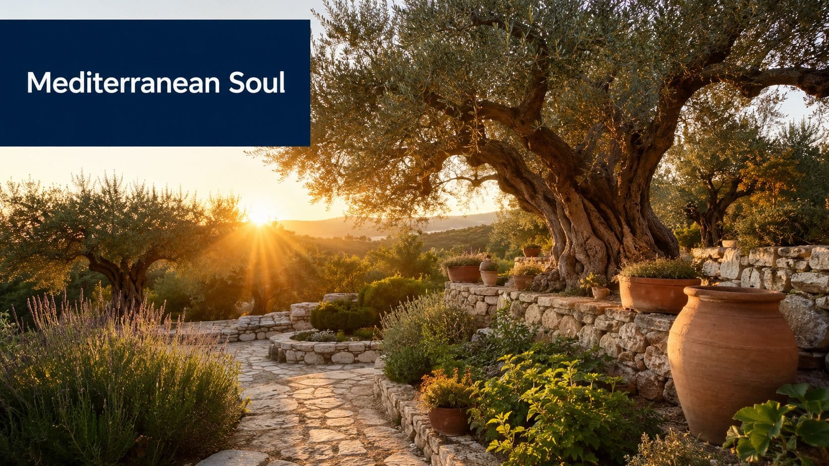 A serene Mediterranean garden at sunset with ancient olive trees, stone paths, and terracotta pottery planters.