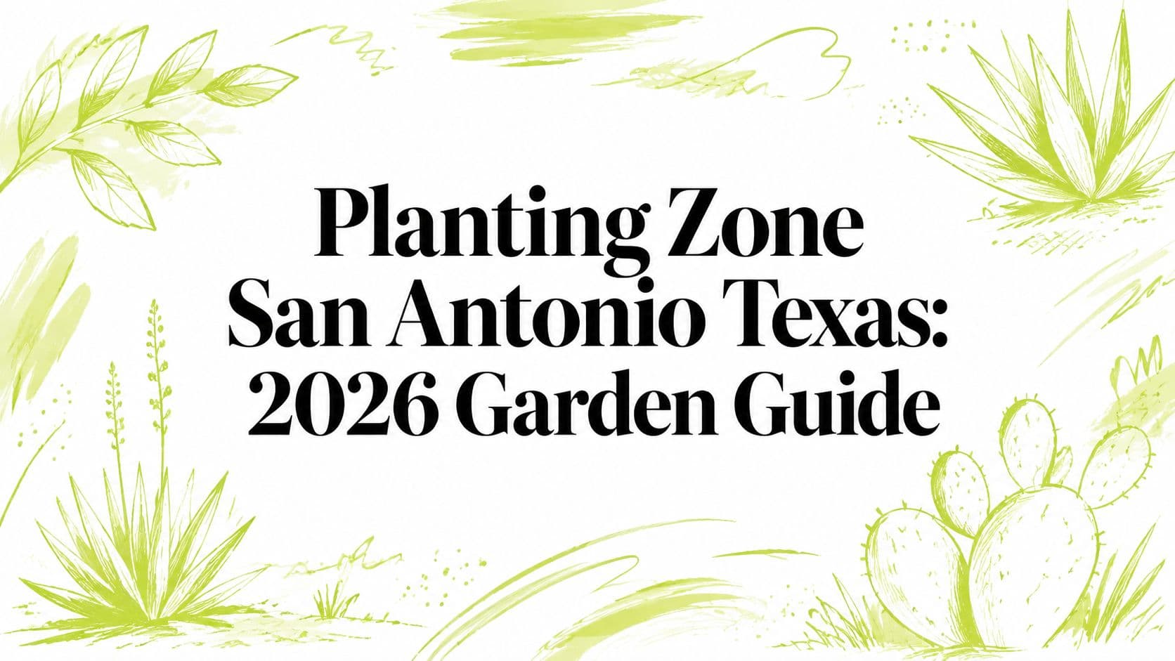 Planting Zone San Antonio Texas: 2026 Garden Guide