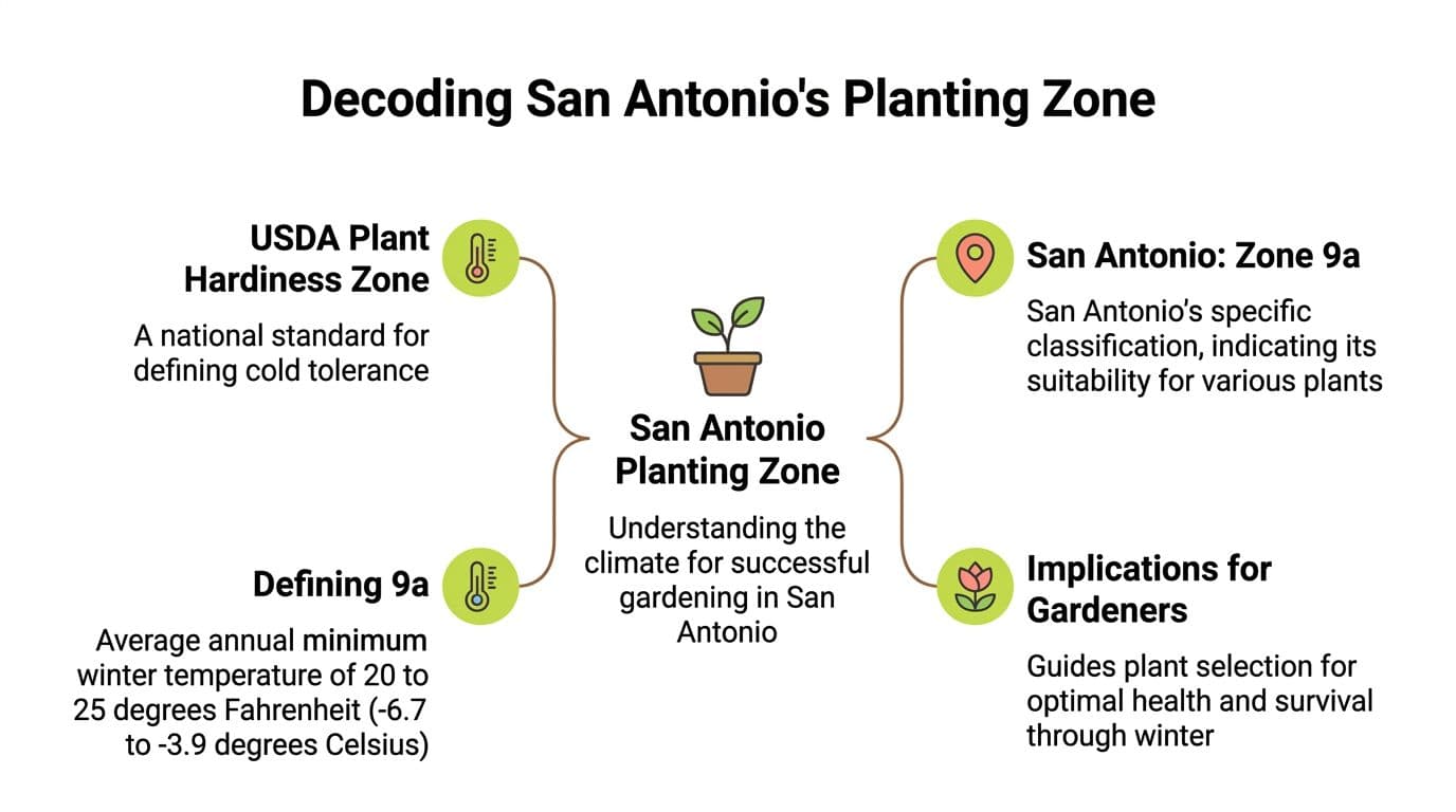 A diagram explaining San Antonio's USDA plant hardiness zone 9a and its significance for local gardening.