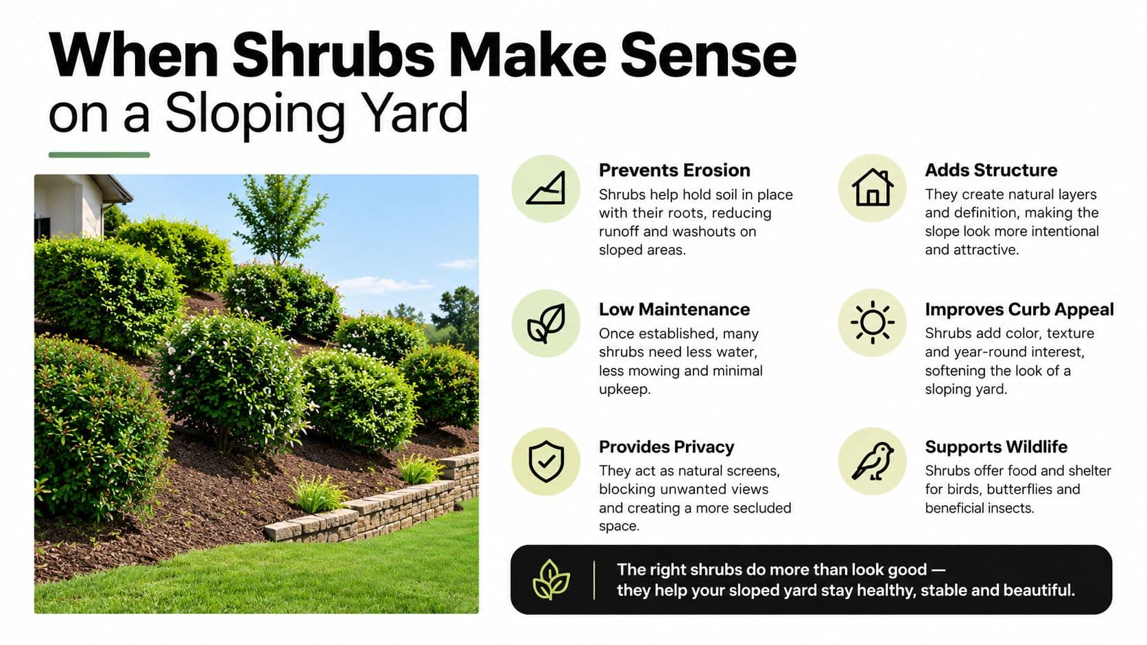 A landscaped sloping yard planted with various green shrubs to prevent soil erosion and improve curb appeal.