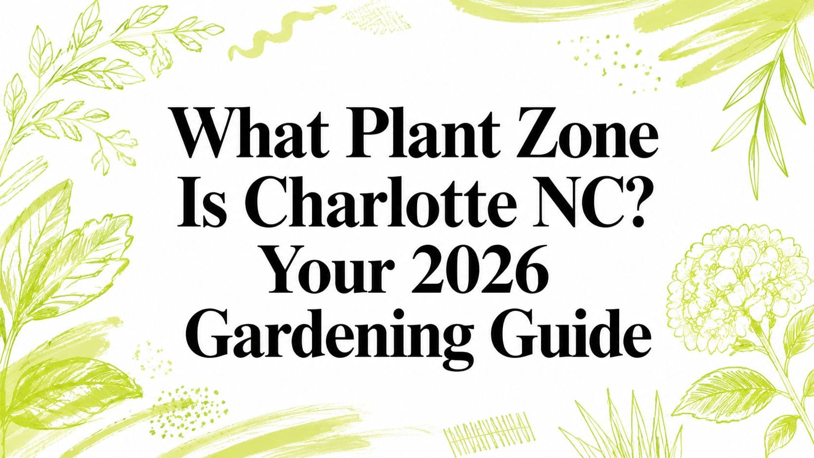 What Plant Zone Is Charlotte NC? Your 2026 Gardening Guide