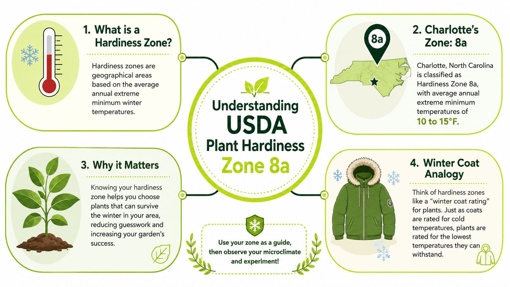 An infographic explaining USDA plant hardiness zone 8a with a focus on Charlotte, North Carolina.