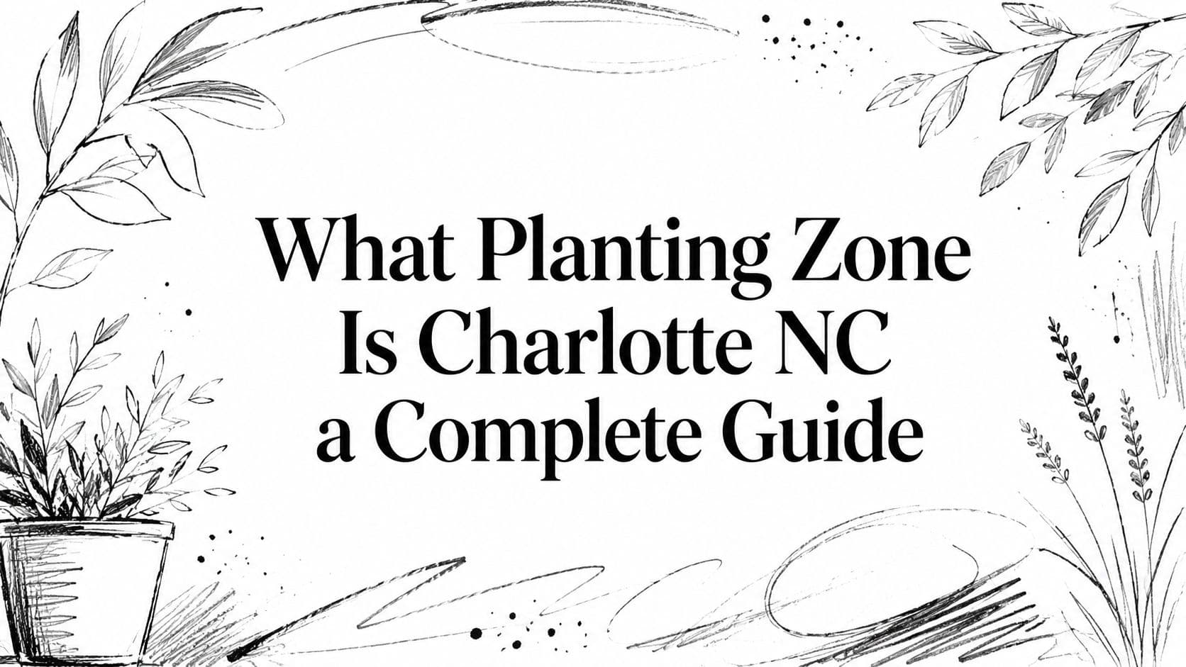 What Planting Zone Is Charlotte NC a Complete Guide